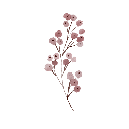 Illustration of a pink flowering branch with small blossoms and green stems.